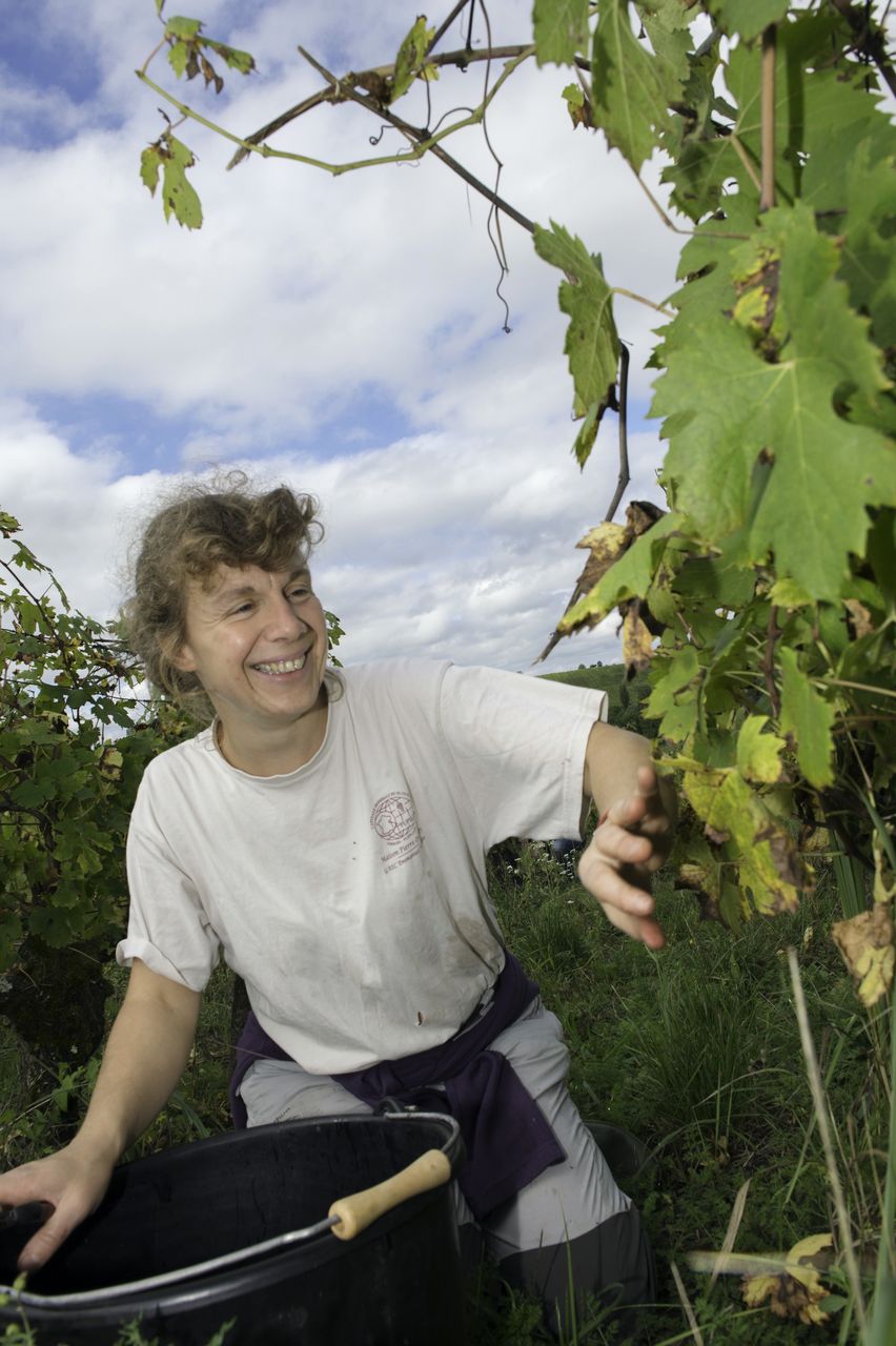 Vins Vigneron Anne & Emmanuel Houillon AnneHouillon2